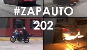 #ZapAuto 202