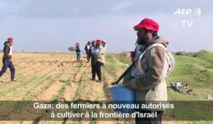 Gaza: des fermiers autorisés de nouveau à cultiver leurs terres