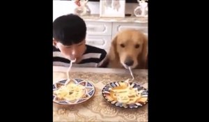 Qui mange le plus vite ses spaghettis... Les chiens ou le maitre ???