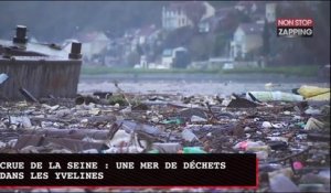 Crue de la Seine : une mer de déchets dans les Yvelines (vidéo)