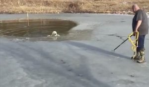 Un pasteur risque sa vie pour sauver un chien tombé dans un lac gelé