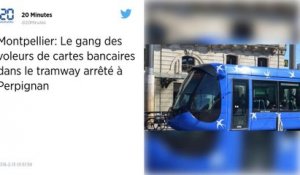 Hérault. Un réseau de vols de cartes bancaires démantelé après plus de mille plaintes.