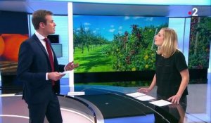 Pesticides : “Les producteurs conseillent d’acheter français”
