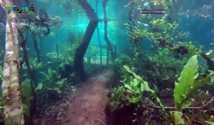 Un chemin de randonnée sous-marin (Brésil)... Incroyable
