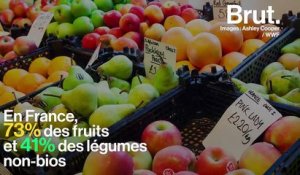 Les cinq fruits et légumes les plus contaminés par les pesticides