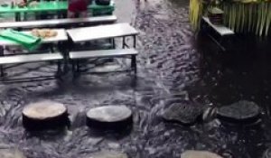 Dans ce restaurant indonésien vous aurez les pieds dans l'eau et mangerez face à une chute d'eau magnifique