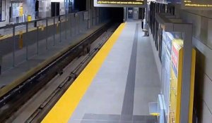 Canada : 2 Pumas sur les rails d'un métro à Vancouver !