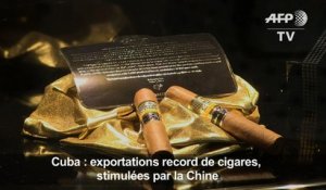 Cuba : exportations record de cigares, stimulées par la Chine