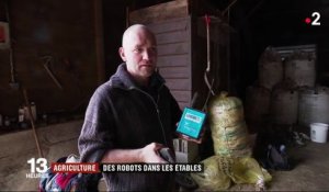 Agriculture : des robots dans les étables