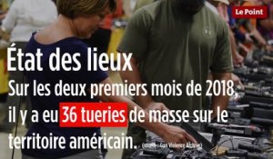 La législation sur les armes aux Etats-Unis