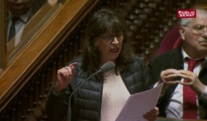 Vote bloqué : Eliane Assassi lance la fronde unanime au Sénat contre le gouvernement