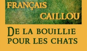 Français caillou/ Définition du jour: "De la bouillie pour les chats"