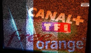 Les Enfoirés 2018 : Michael Youn interpelle Canal + dans sa guerre avec TF1