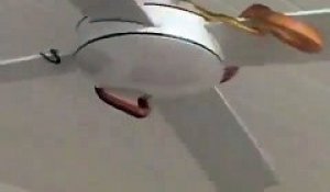 Il Colle Sa Tete A Un Ventilo Sur Orange Videos