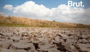 L'écosystème unique du parc de Doñana est menacé