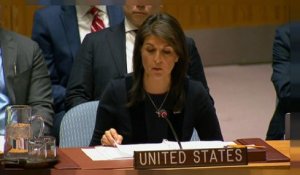 Etats-Unis à l'ONU : "la Russie doit rendre des comptes" dans l'affaire Skripal