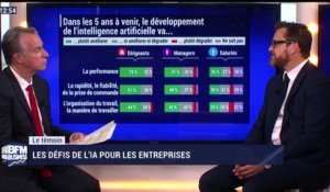 BFM Stratégie: Les défis de l'IA pour les entreprises - 17/03