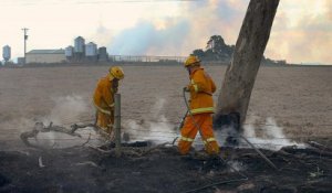 Incendie en Australie