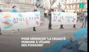 Des militants Vegan Impact s'entravent dans des filets de pêche à Paris