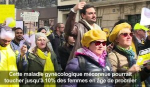 Paris : marche pour informer sur l'endométriose