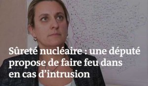 Propos polémique d’une députée LRM, qui propose de tirer « sans se poser de question » en cas d’intrusion dans une centrale nucléaire