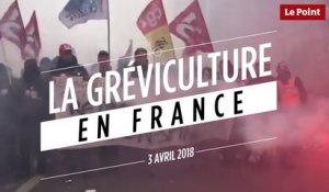 La gréviculture en France