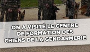 Lot: Visite du centre de formation des chiens de la Gendarmerie