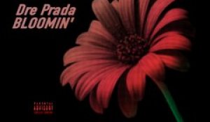 Dre Prada - Bloomin - (Official Video Trailer)