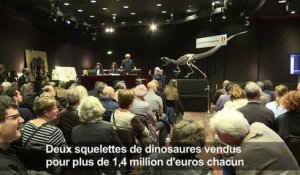 Près de 3 millions d'euros pour deux squelettes de dinosaures