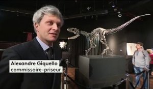 Paris : les dinosaures aux enchères