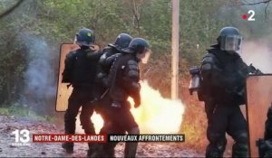 Notre-Dame-des-Landes : violences dans la ZAD et manifestation à risque dans Nantes