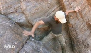 La chute impressionnante d'Adrien dans une crevasse (Wild) - ZAPPING TÉLÉ DU 17/04/2018