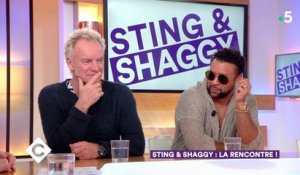 Sting & Shaggy : la rencontre ! - C à Vous - 24/04/2018