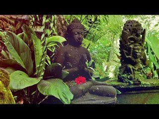 Música Relajante Zen para Técnicas de Meditación en la