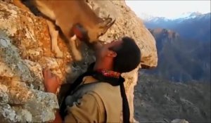 Cette chèvre sauvage bloque le passage à cet homme qui escalade la montagne