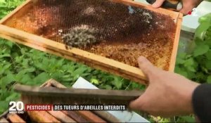 Pesticides : trois néonicotinoïdes dangereux pour les abeilles interdits