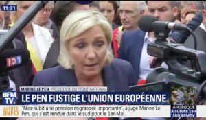 Pour Marine Le Pen, "Nice a changé de visage" ces 10 dernières années avec la "pression migratoire"