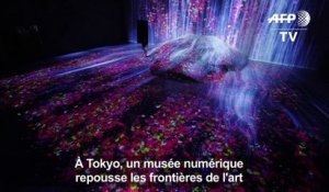 Tokyo: un musée numérique pour repousser les frontières de l'art