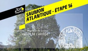 Étape 16 : Réintroduction du Saumon Atlantique Fédération de pèche de l'Ariège