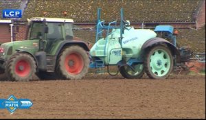 Loi agriculture et alimentation : les députés veulent améliorer la rémunération des producteurs