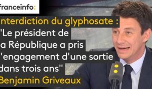 Interdiction du glyphosate : "Le président de la République a pris l’engagement d’une sortie dans trois ans. Ce sera fait, en partenariat avec les industriels", assure Benjamin Griveaux #8h30politique