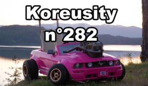 Koreusity n°282