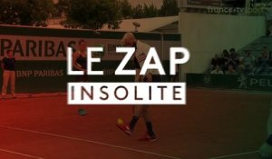 Roland-Garros 2018 : figures imposées, cibles humaines, le zap’insolite de la 1re semaine