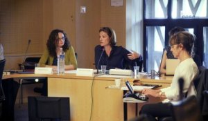 Questions à Chantal JOUANNO (CNDP) - démocratie environnementale - cese