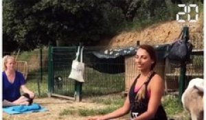 Le Yoga Chèvre s'importe en France grâce à une Niçoise