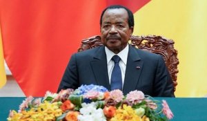 Le Cameroun amer contre Amnesty International