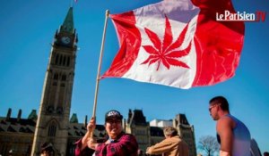 Le Canada vote la légalisation du cannabis