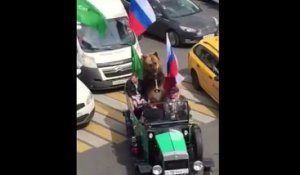 Un ours à la coupe du monde pour supporter l'équipe nationale Russe.