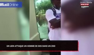 Etats-Unis : Un tigre attaque un homme de dos dans un zoo (Vidéo)