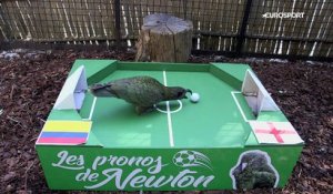 Le prono de Newton : attention les yeux, ce Colombie-Angleterre s'annonce totalement fou !